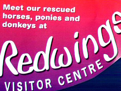 redwings logo